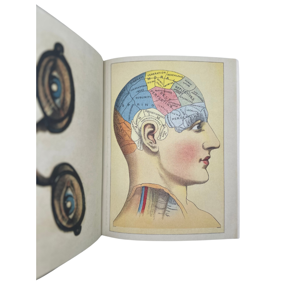 John Derian Sticker Book