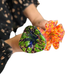 C Glass Flowers