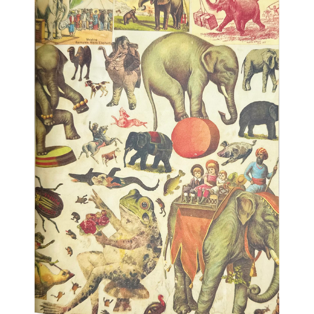 John Derian Sticker Book